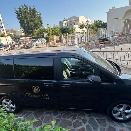 Bougainville Luxury Boutique فندق