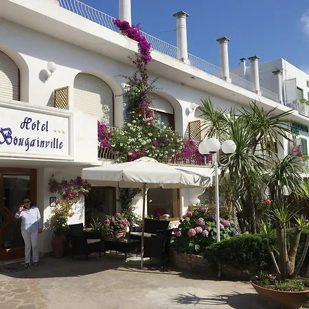 Capri Bougainville Luxury Boutique